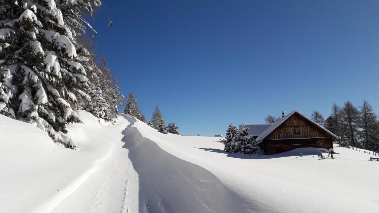 Pfeifferhof Villa Mariapfarr Eksteriør billede